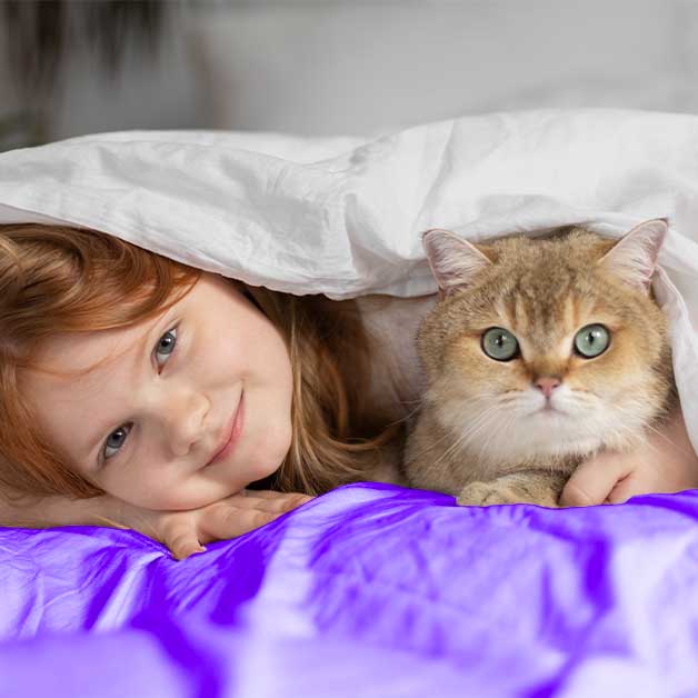 journee-internationale-du-chat
