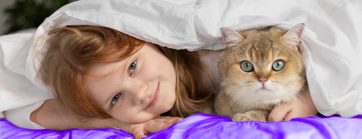 journee-internationale-du-chat