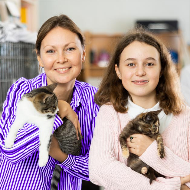 comment-proteger-la-sante-de-son-animal-domestique
