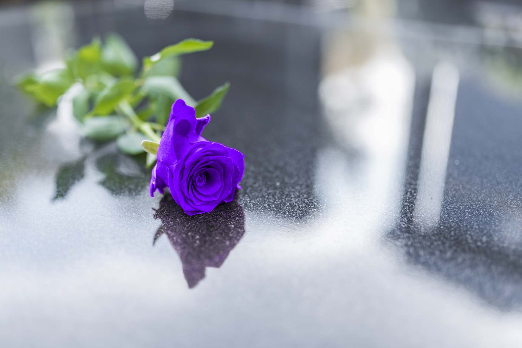 pierre-tombale-rose-funerailles