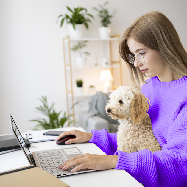 la-teleconsultation-pour-animaux 