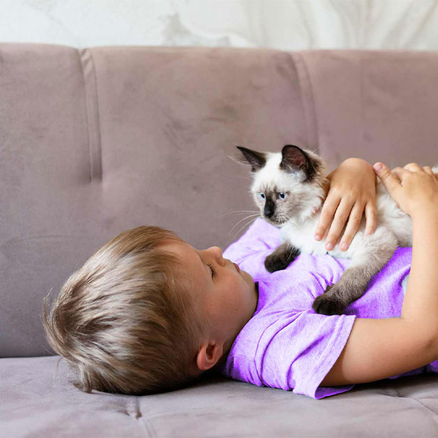 choisir-assurance-chat
