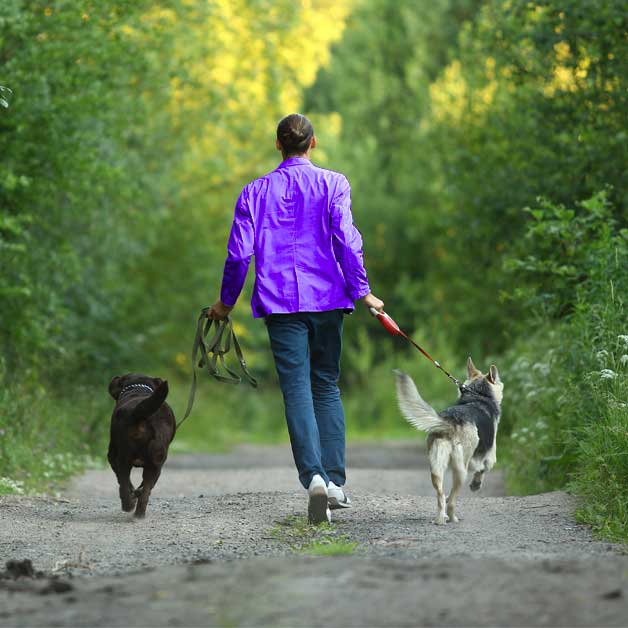comment-faire-garder-son-animal-de-compagnie-pendantl-es-vacances