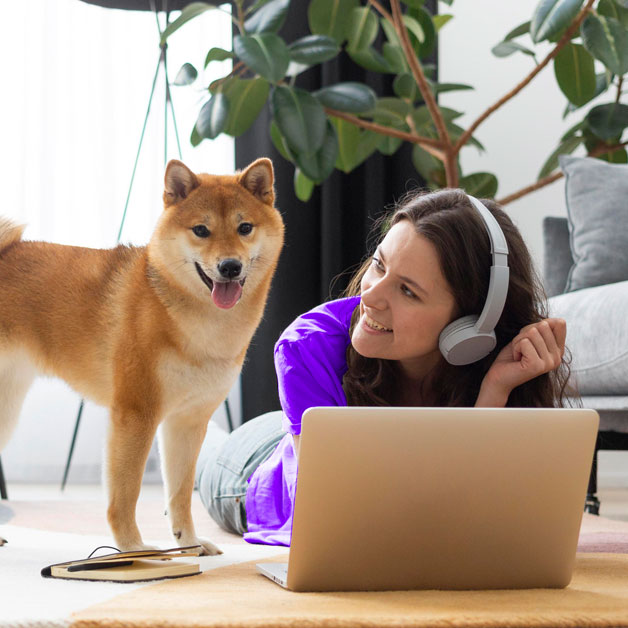 quel-est-le-prix-d-une-assurance-chien 