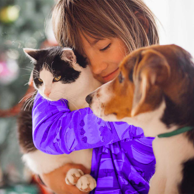 souscrire-mutuelle-animaux-chien-chat