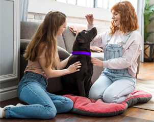 pourquoi-il-est-conseille-d-assurer-son-animal-de-compagnie